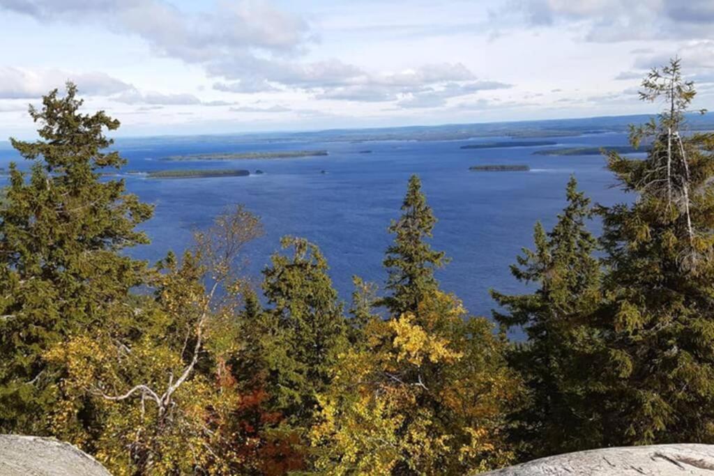 Ferienwohnung Kolin Kolo - Saunallinen Kaksio Kolinkylä Exterior foto